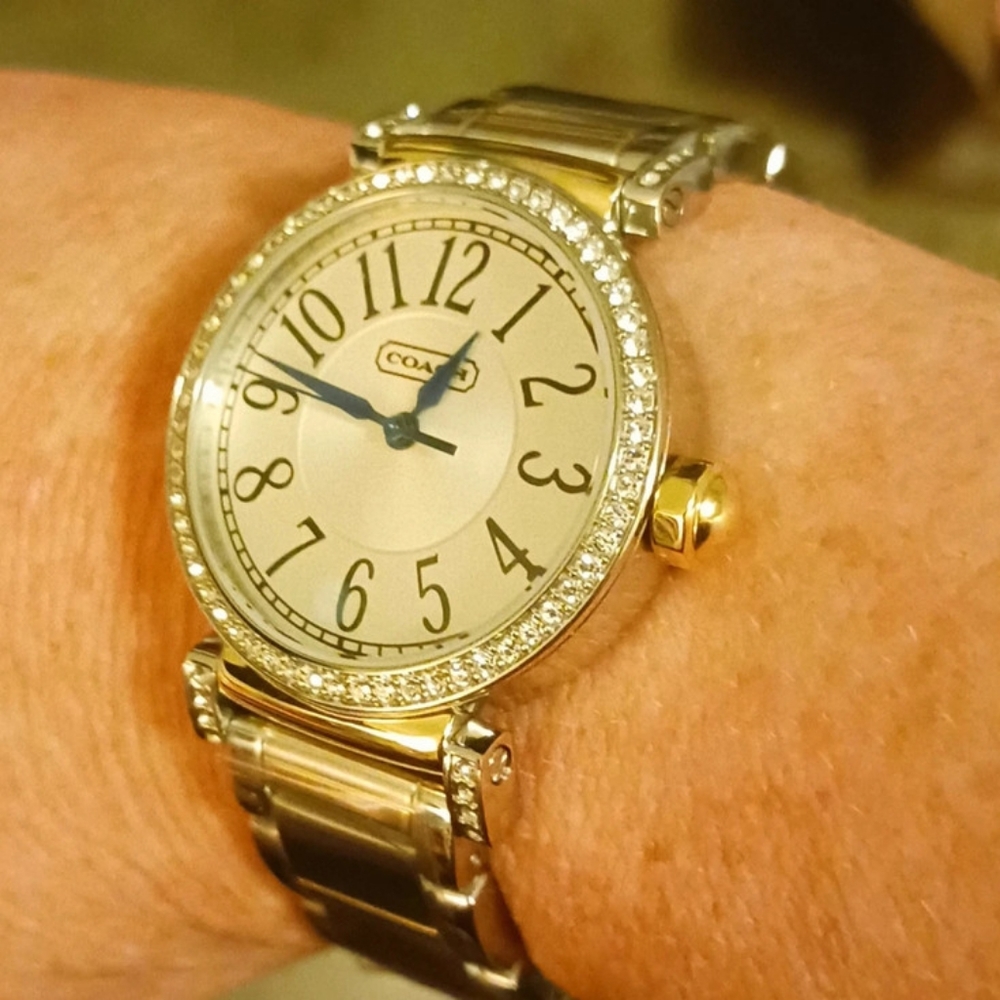 NEW CoachWatch - Picture 3 of 5